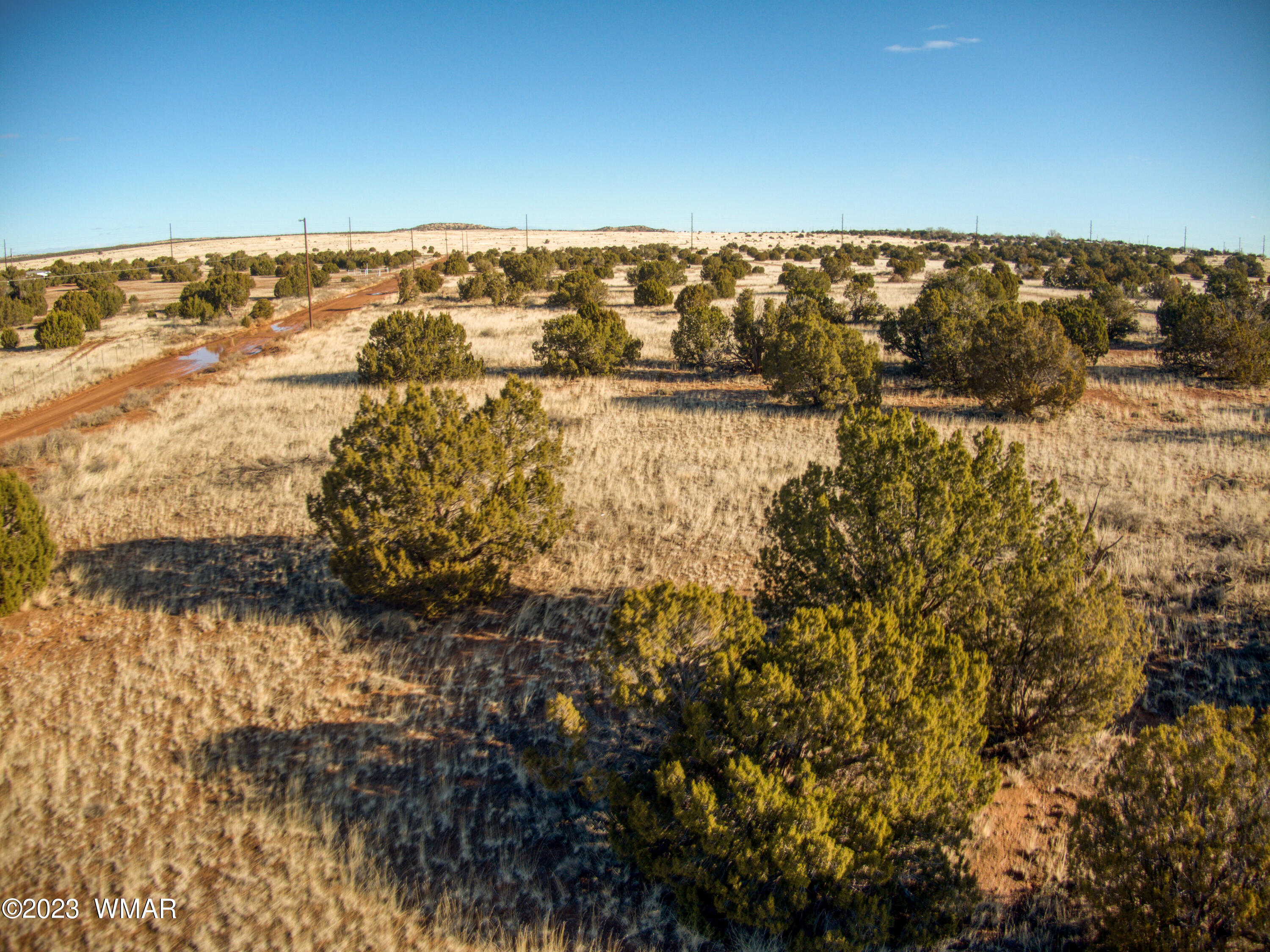 3795 Bum Heel Ranch Road Heber, AZ 85928 - Photo 7 of 7 Gallery Image 7