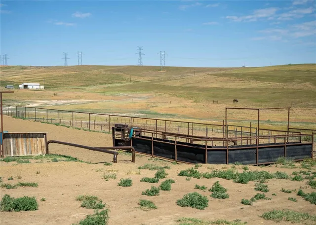 a view of a back yard of a building