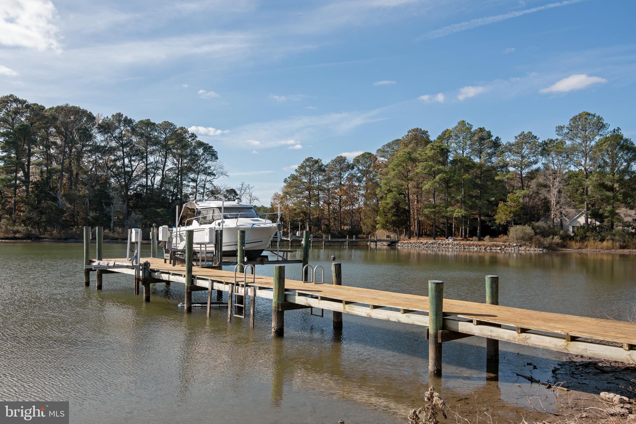 Boat lift, electric at dock
