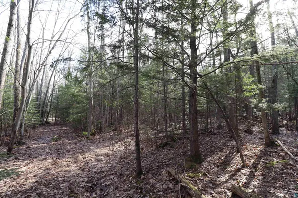 $189,900 | 36807 Co Hwy J, Bayfield, WI 54814