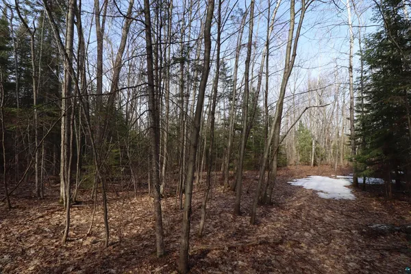 $189,900 | 36807 Co Hwy J, Bayfield, WI 54814