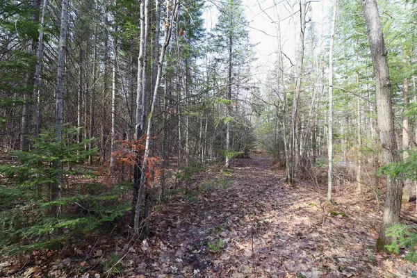 $189,900 | 36807 Co Hwy J, Bayfield, WI 54814