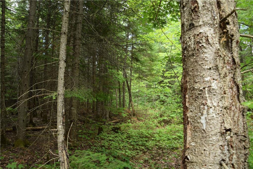 0 Jemtland Road Caribou, ME 04736 - Photo 14 of 17 Land