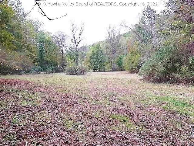 0 Big Pigeon Road Amma, WV 25005 - Photo 9 of 28 This photo and the next is another separate piece of bottom land. It is located just to the right as you enter the property road frontage.