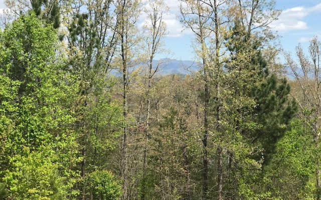 Lot29 Brasstown View Road Murphy, NC 28906 - Photo 1 of 4 Main View