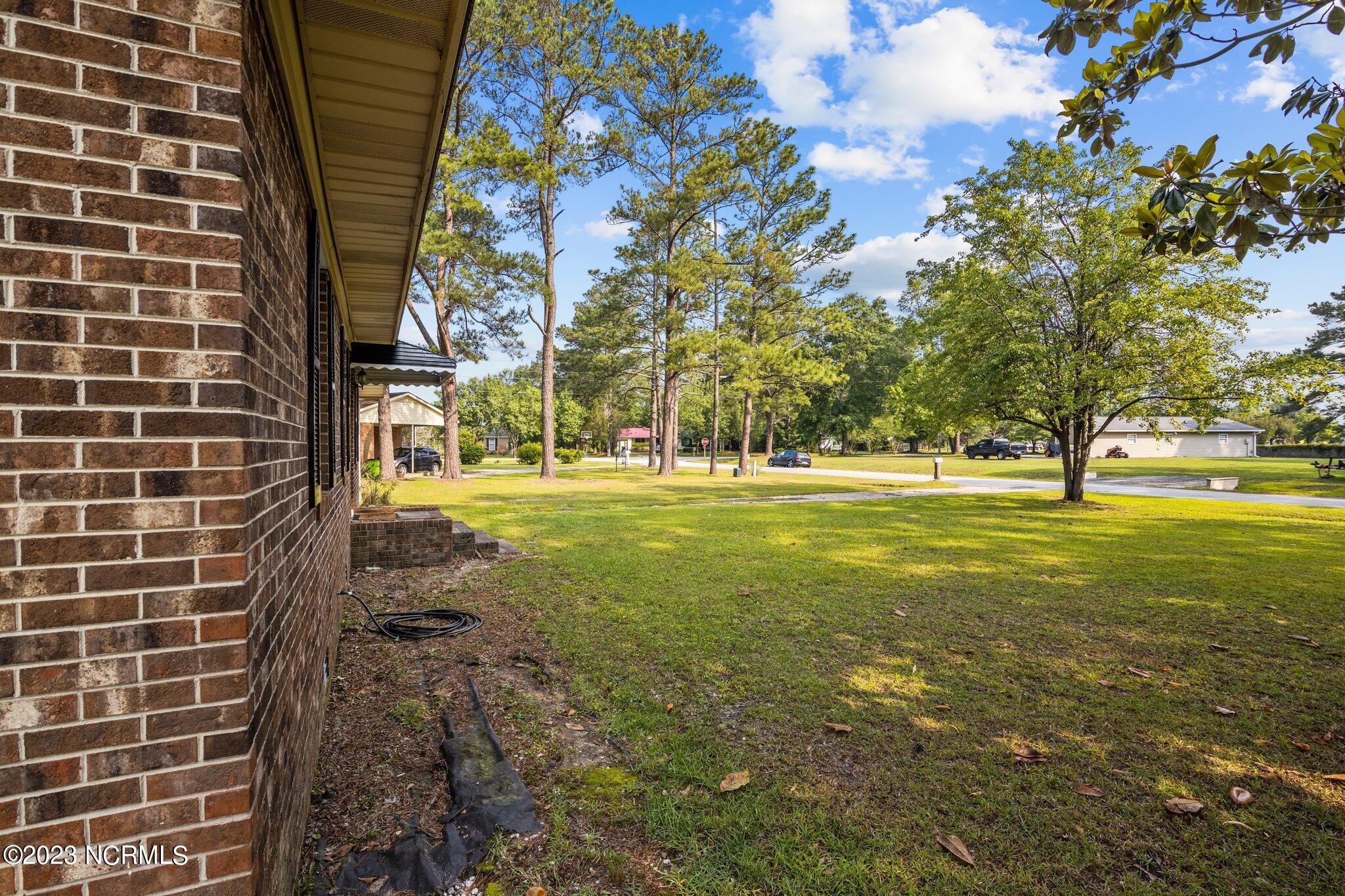 110 Chips Road Vanceboro, NC 28586 - Photo 31 of 38 view of front yard