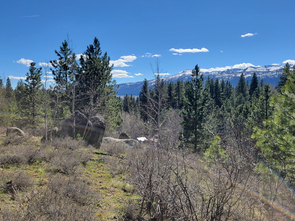 Tbd Tbd Point Lane Cascade, ID 83611 - Photo 12 of 15 State land on left/your property on right