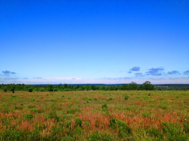 Tract B Township Road Aiken, SC 29803 - Photo 8 of 19