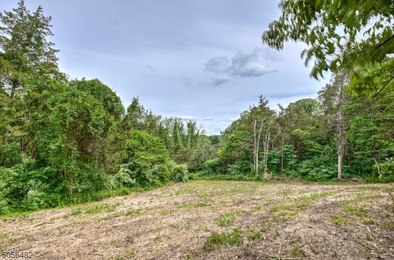 0 Willow Peapack Nj 07977 Gladstone, NJ 07934 - Photo 1 of 4 a backyard of a house with lots of green space