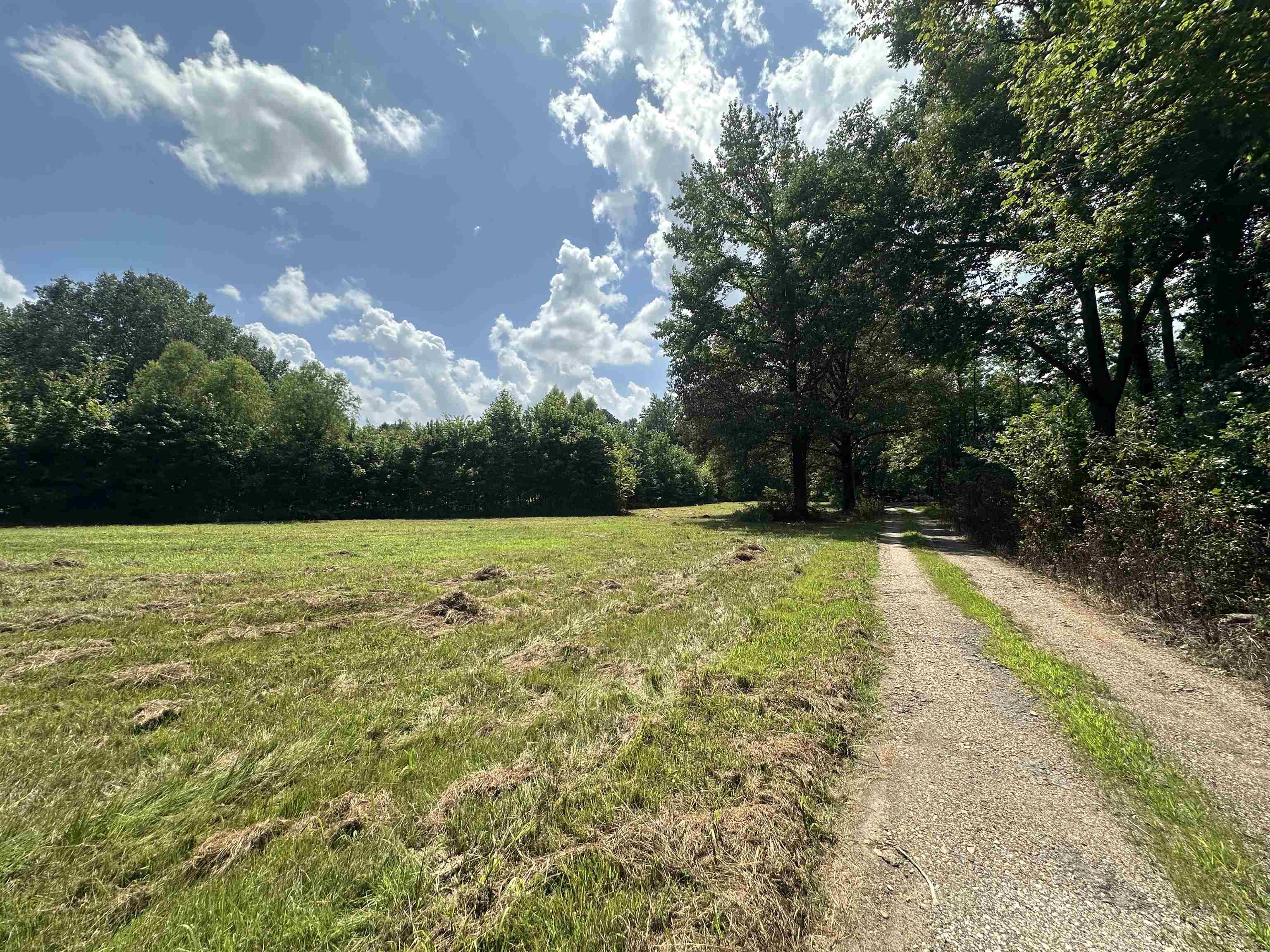 0 Old L&N Road Stanton, TN 38069 - Photo 8 of 10 a view of outdoor space yard and entertaining space