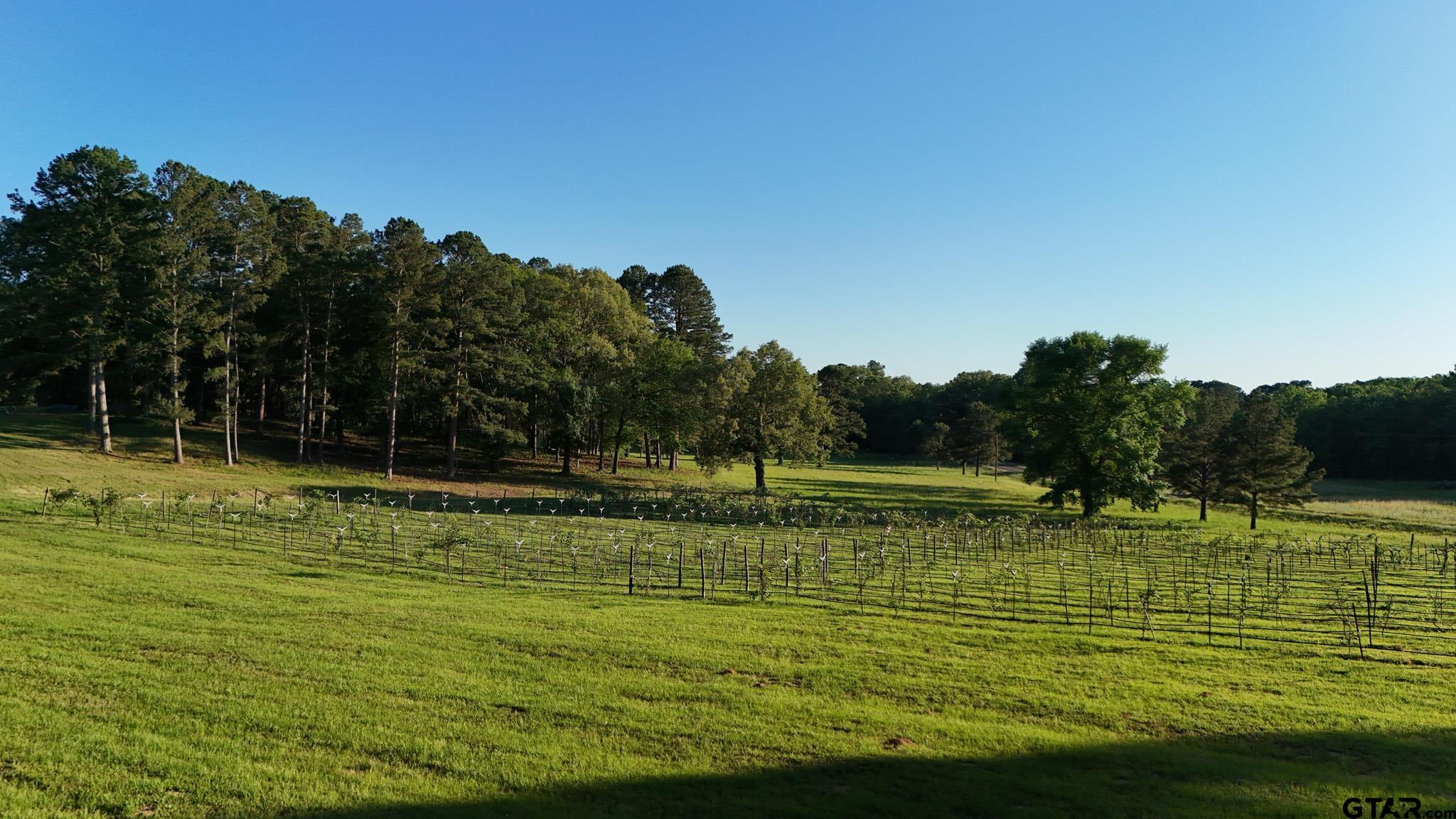 0 County Road 2680 Hawkins, TX 75765 - Photo 19 of 38