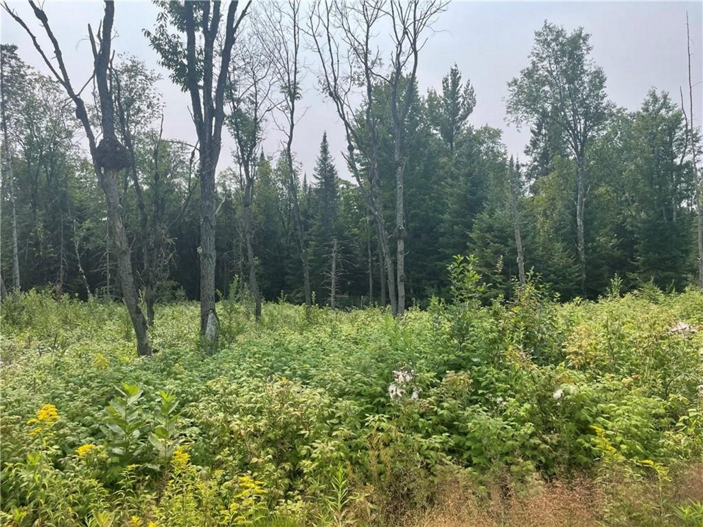 13 Old 13 Road Butternut, WI 54514 - Photo 1 of 1 Gallery Image 1