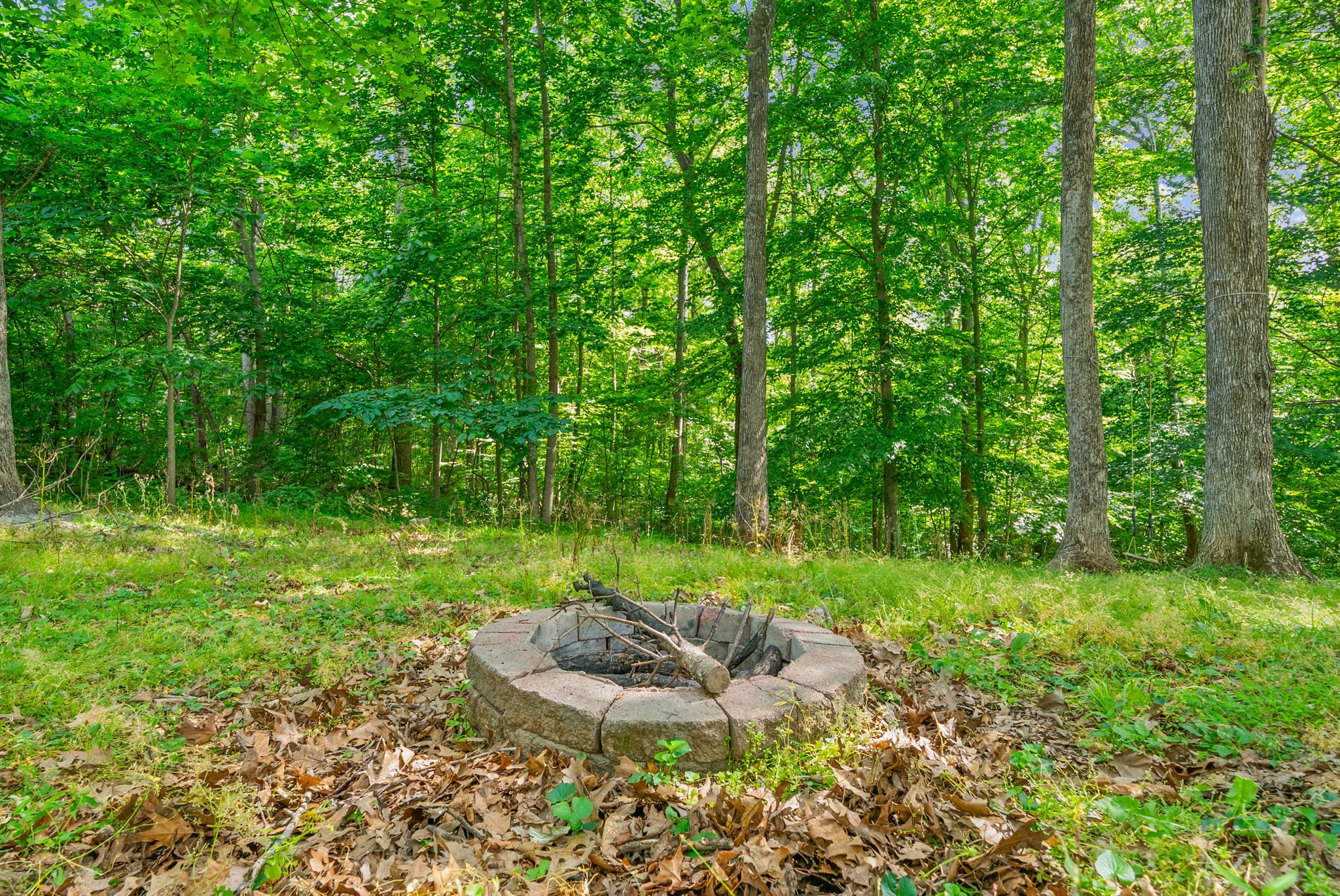 3324 Backridge Road Woodlawn, TN 37191 - Photo 52 of 56 Gallery Image 52