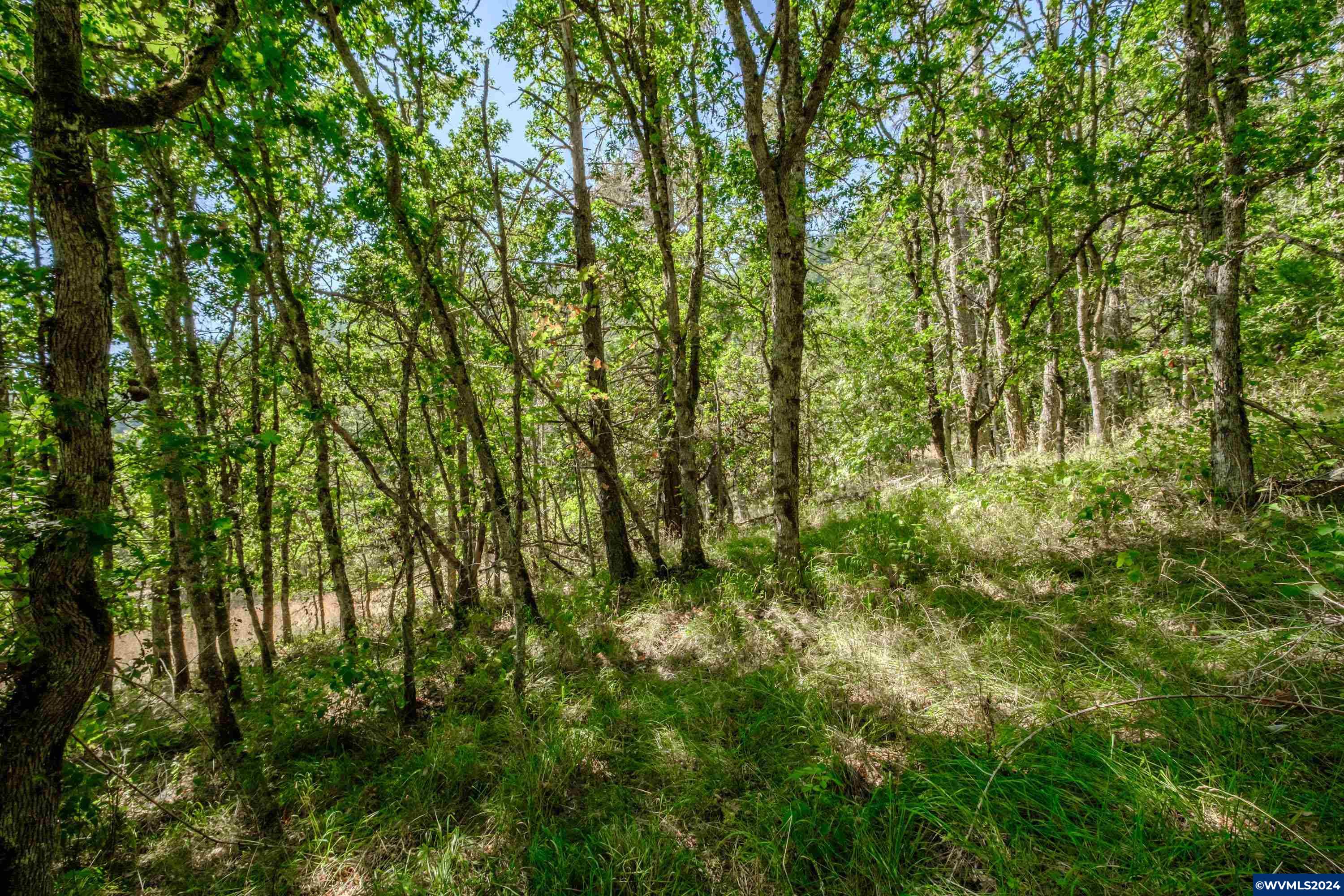 28920 Sheep Head Road Brownsville, OR 97327 - Photo 25 of 32
