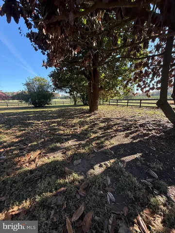 front view of a house with a tree