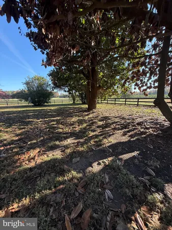 front view of a house with a tree