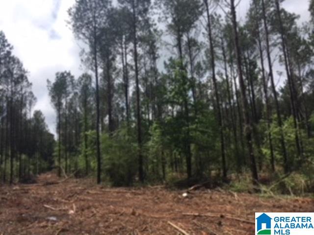 325 Springhill Road, Unit 1 Talladega, AL 35160 - Photo 13 of 31