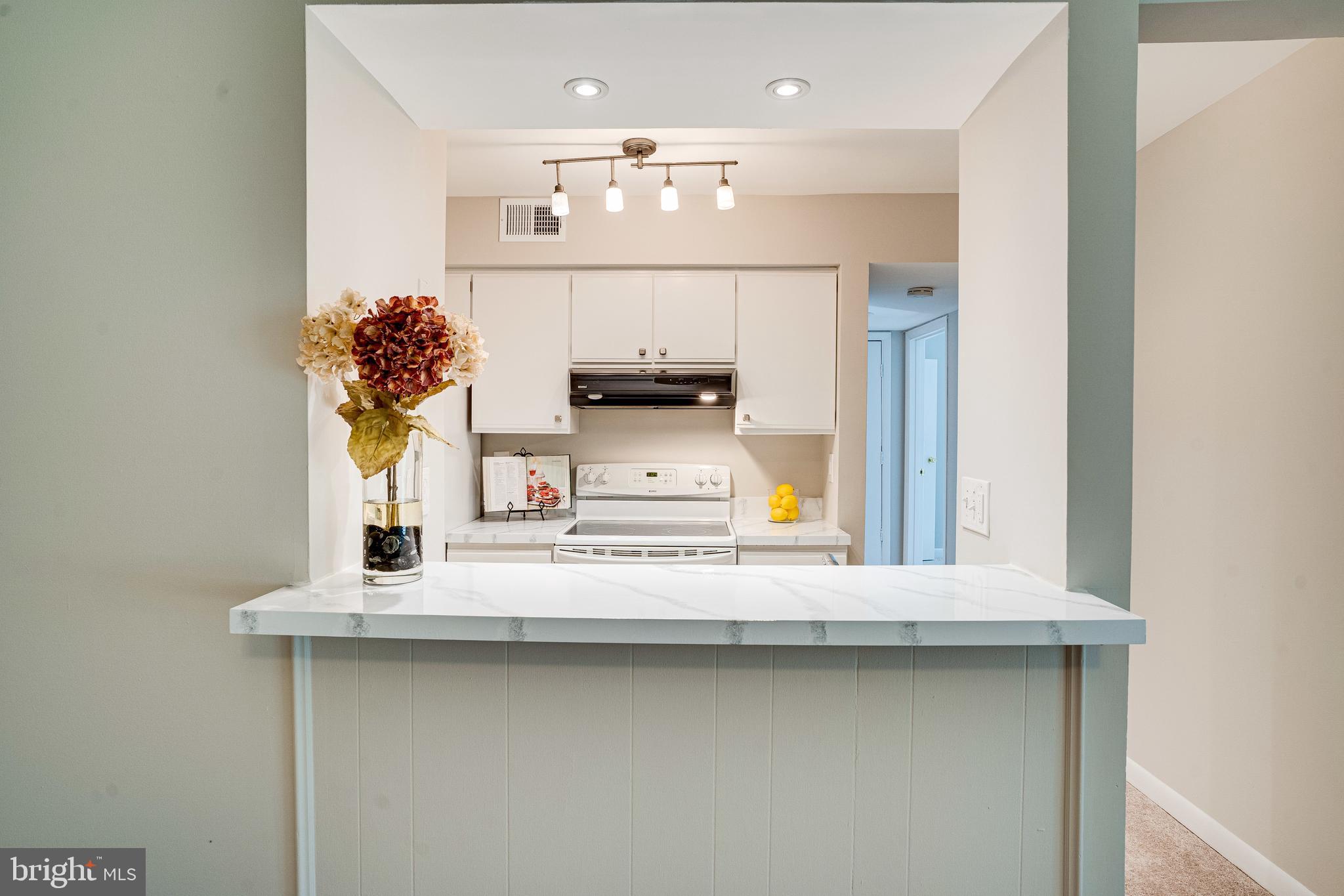 5765 Rexford Court, Unit 5765I Springfield, VA 22152 - Photo 14 of 57 Breakfast Bar
