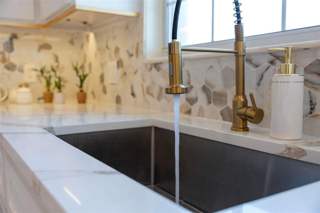 2832 Rodeo Drive Kissimmee, FL 34746 - Photo 17 of 46 a close view of sink and tap