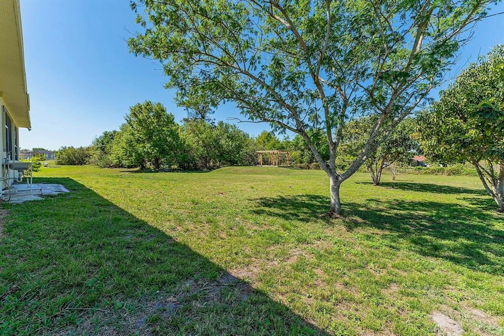 2832 Rodeo Drive Kissimmee, FL 34746 - Photo 43 of 46 a view of a yard with a tree