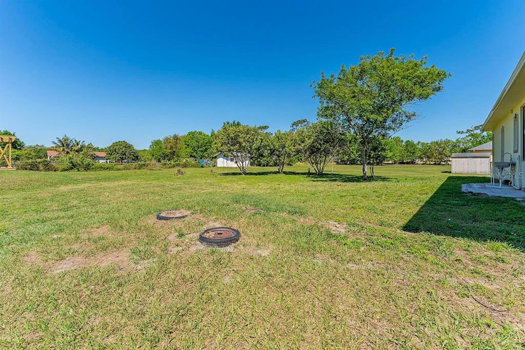 2832 Rodeo Drive Kissimmee, FL 34746 - Photo 44 of 46 a view of a big yard with a large tree
