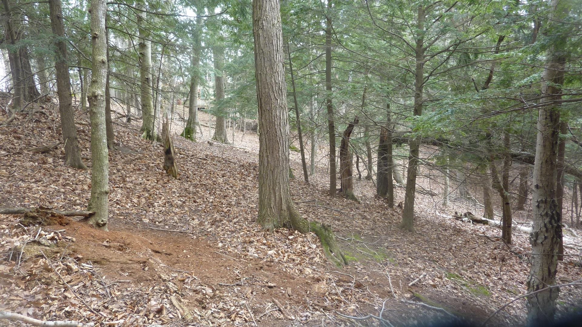 0 Old State Road Frankfort, MI 49635 - Photo 1 of 17