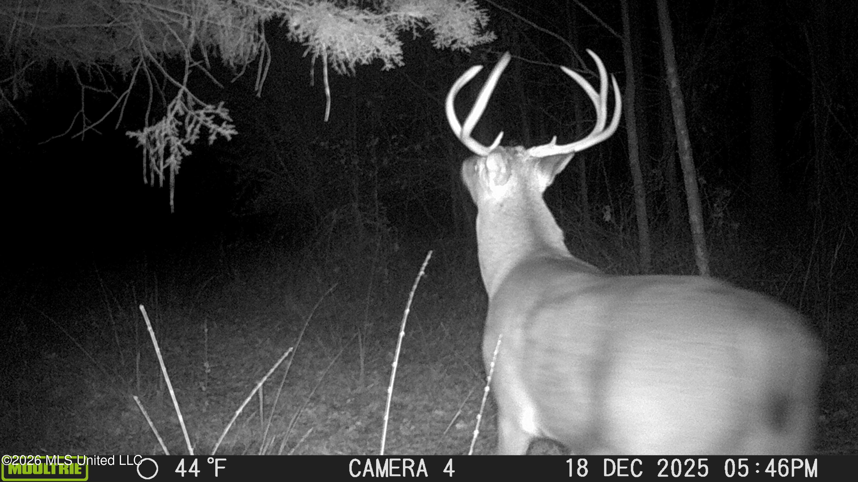 5005 Co Road Kosciusko, MS 39090 - Photo 11 of 11 MFDC0101