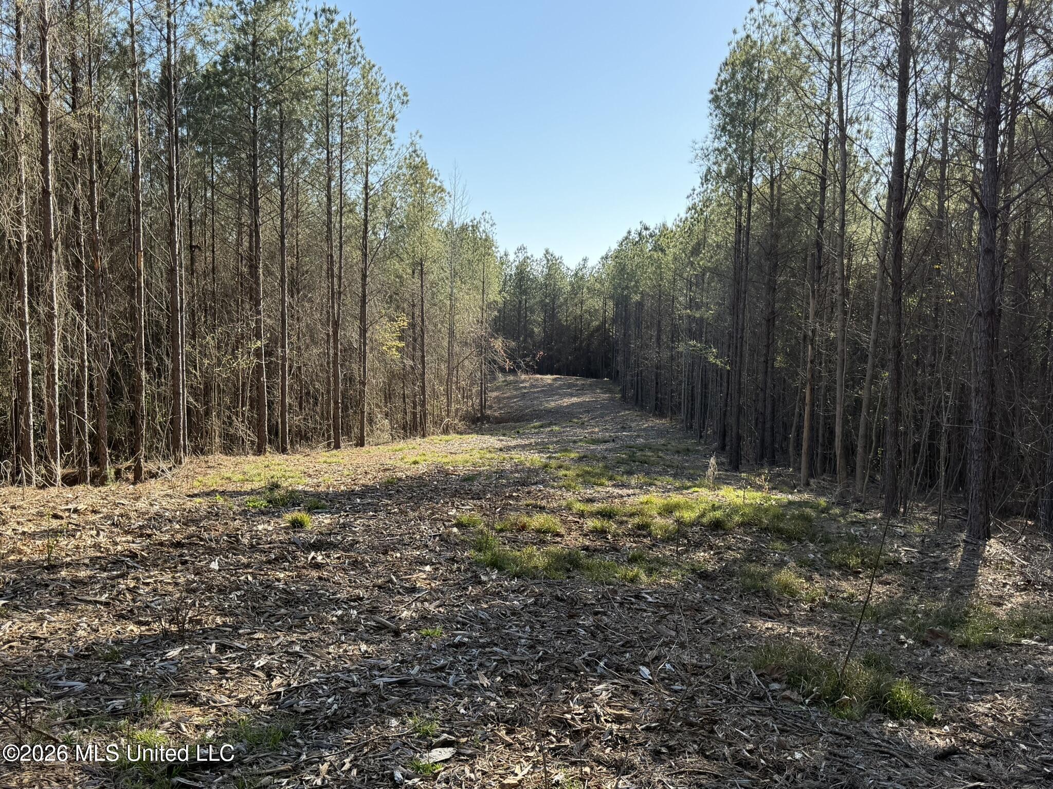 5005 Co Road Kosciusko, MS 39090 - Photo 2 of 11 IMG_0600
