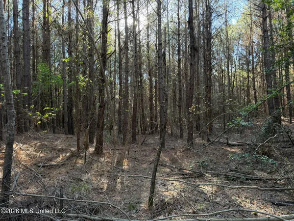 $137,655 | 5005 Co Road, Kosciusko, MS 39090