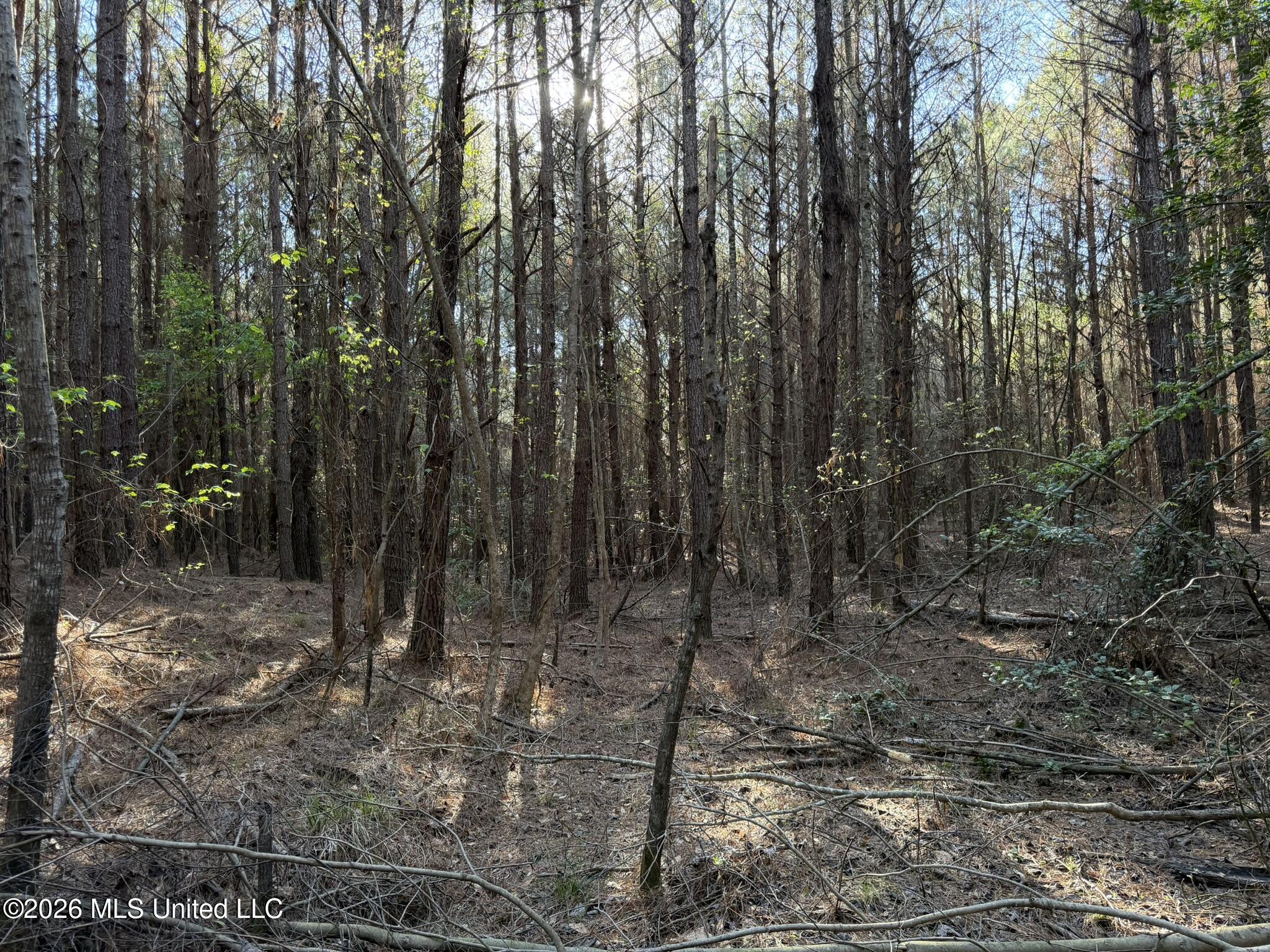 5005 Co Road Kosciusko, MS 39090 - Photo 3 of 11 IMG_0601