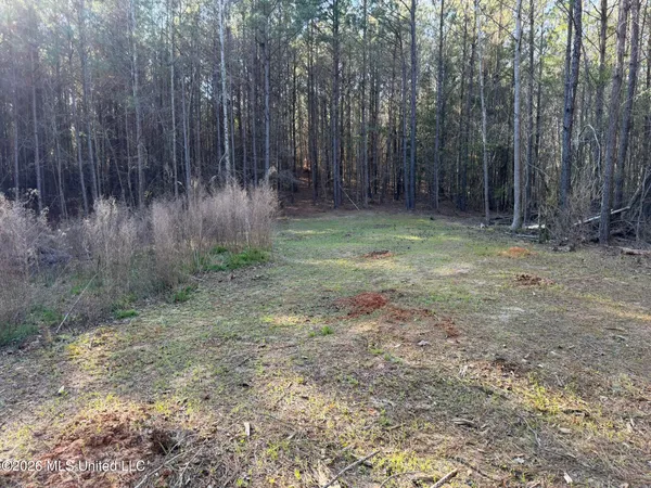 $137,655 | 5005 Co Road, Kosciusko, MS 39090