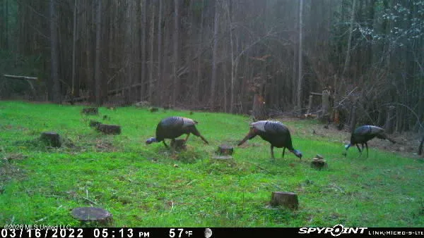 $137,655 | 5005 Co Road, Kosciusko, MS 39090