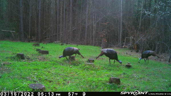 5005 Co Road Kosciusko, MS 39090 - Photo 6 of 11 IMG_1474