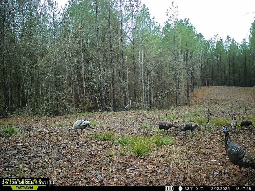 5005 Co Road Kosciusko, MS 39090 - Photo 7 of 11 IMG_2757