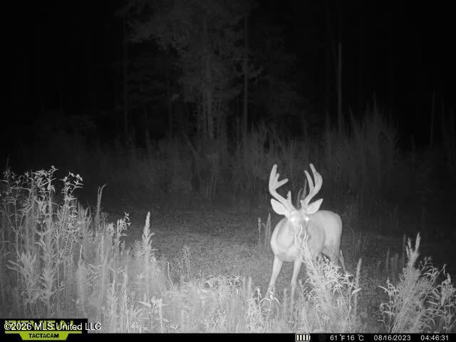 5005 Co Road Kosciusko, MS 39090 - Photo 9 of 11 IMG_6577