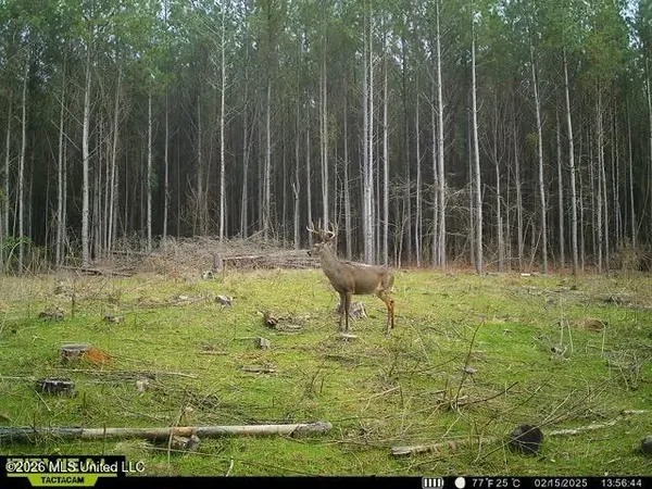 $137,655 | 5005 Co Road, Kosciusko, MS 39090