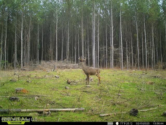 5005 Co Road Kosciusko, MS 39090 - Photo 10 of 11 IMG_8405