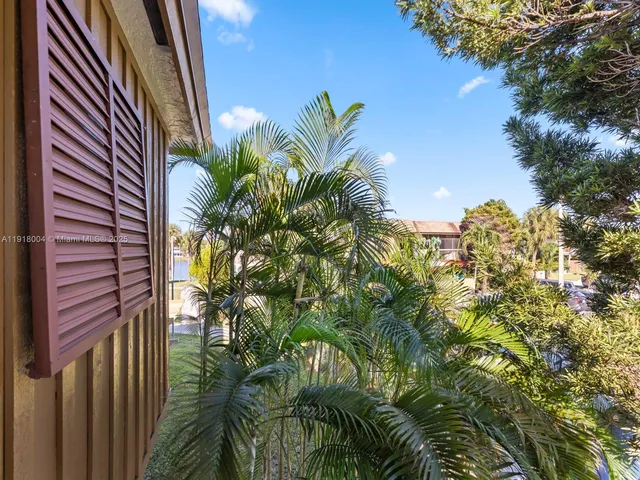 a view of a plant in a garden