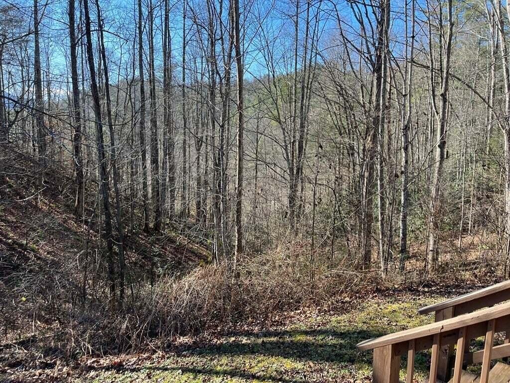 4583 Haire Road Hartford, TN 37753 - Photo 25 of 26 Gallery Image 25