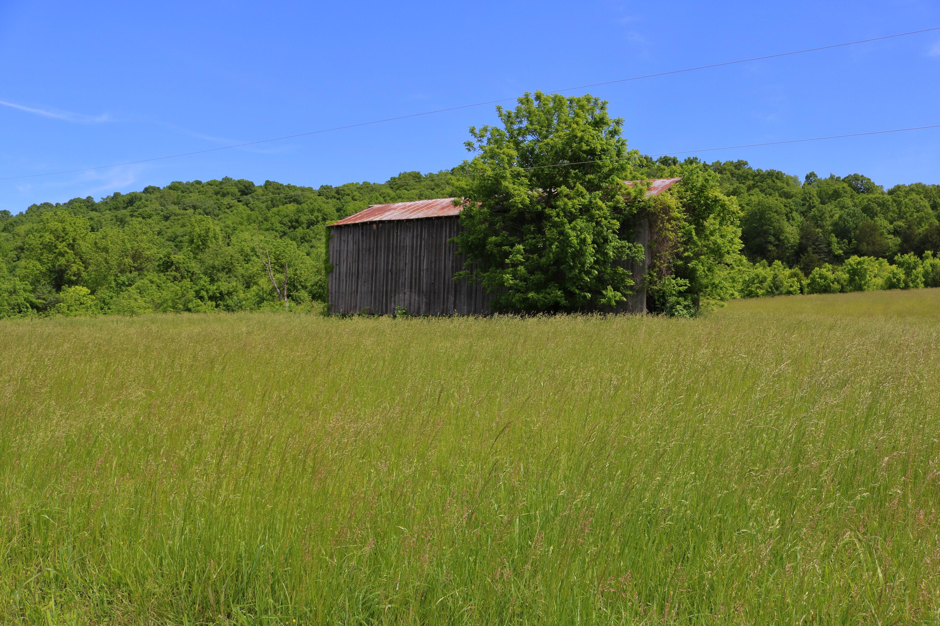 25.78 McDonald Ferry Road Frankfort, KY 40601 - Photo 3 of 14