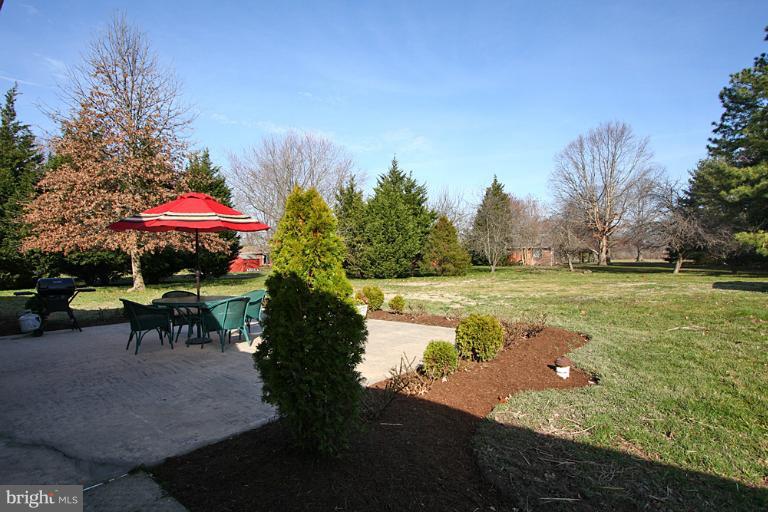27864 Haley Road Easton, MD 21601 - Photo 24 of 29 Backyard and patio