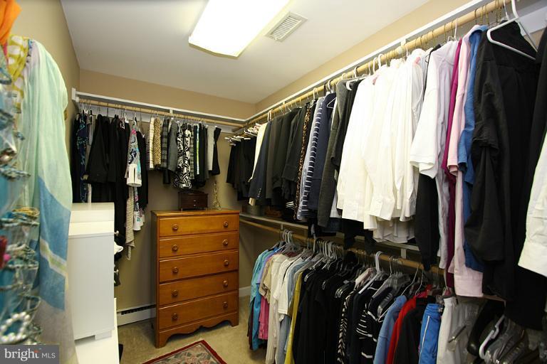 27864 Haley Road Easton, MD 21601 - Photo 7 of 29 large walk in closet