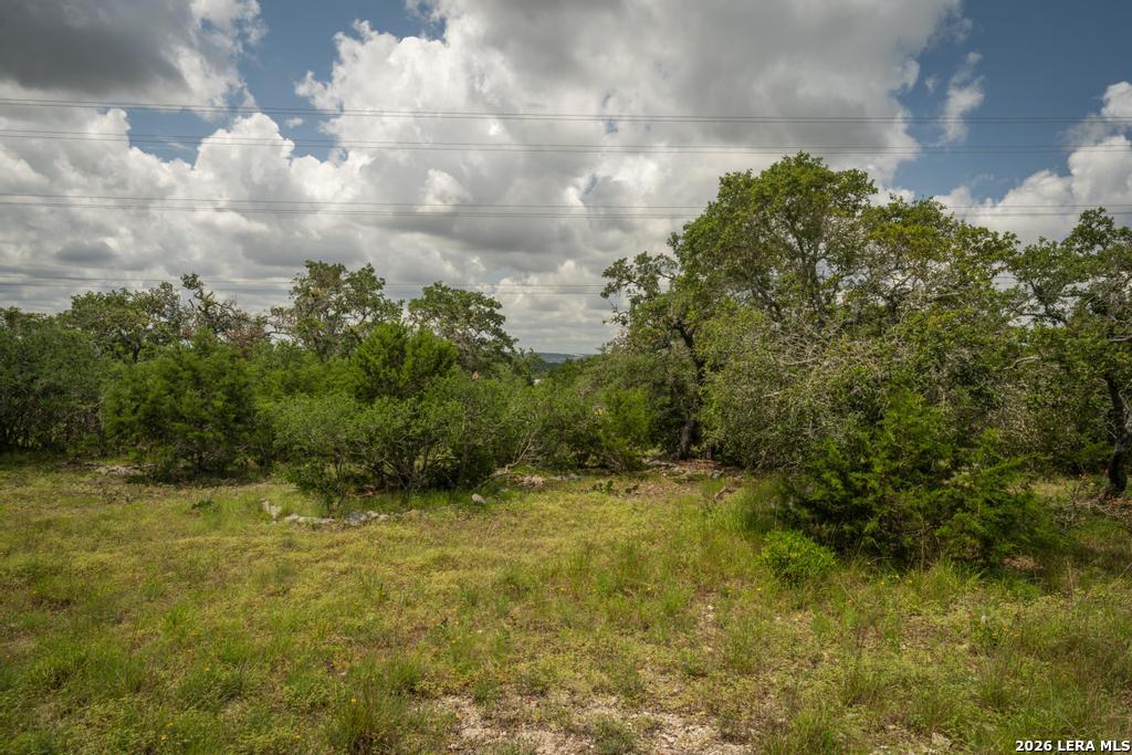 3044 Ridge Crossing Bulverde, TX 78163 - Photo 10 of 12 Gallery Image 10