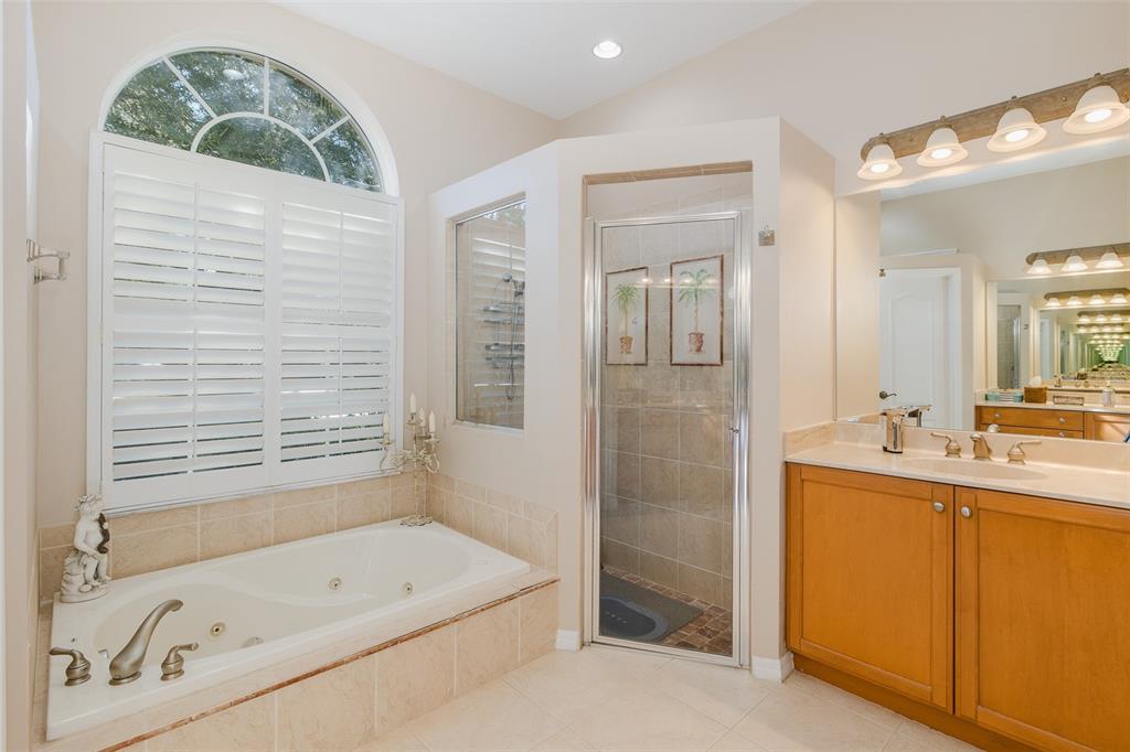 2928 Waters Edge Road Palm Harbor, FL 34685 - Photo 36 of 52 a bathroom with a tub sink and mirror