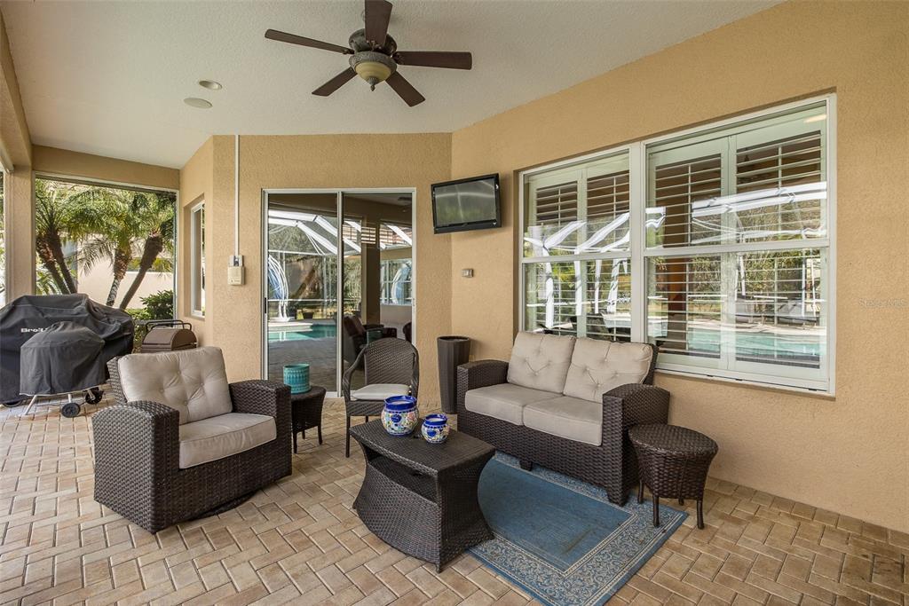 2928 Waters Edge Road Palm Harbor, FL 34685 - Photo 41 of 52 a living room with furniture and windows