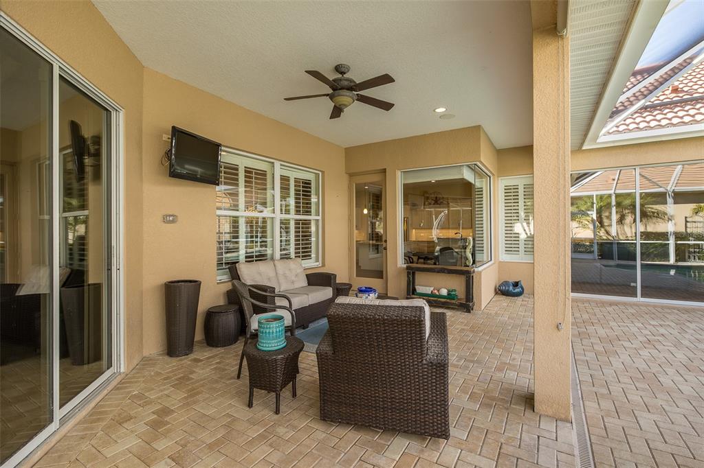 2928 Waters Edge Road Palm Harbor, FL 34685 - Photo 43 of 52