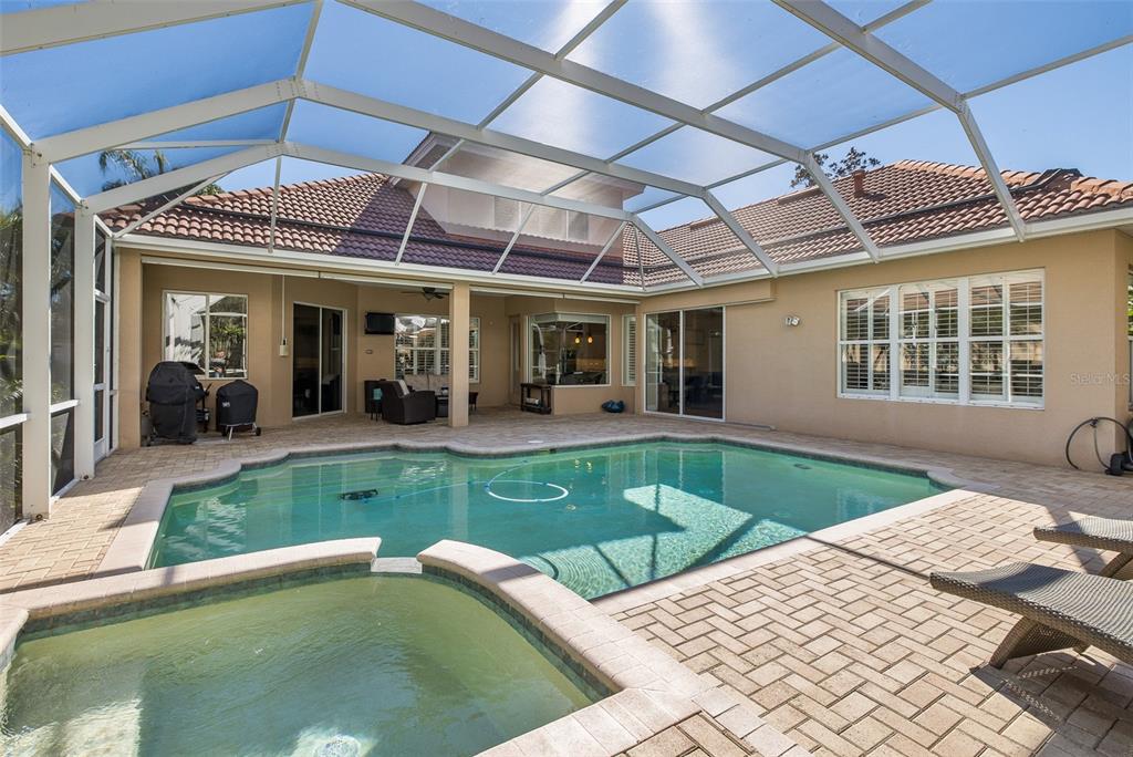 2928 Waters Edge Road Palm Harbor, FL 34685 - Photo 47 of 52 a view of a backyard with swimming pool table and chairs