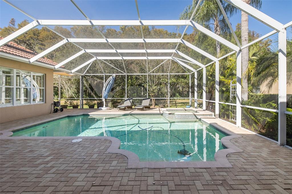 2928 Waters Edge Road Palm Harbor, FL 34685 - Photo 50 of 52 a view of a swimming pool with a patio