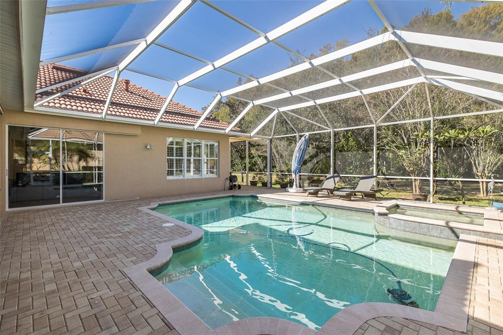 2928 Waters Edge Road Palm Harbor, FL 34685 - Photo 51 of 52 a view of a swimming pool with a patio