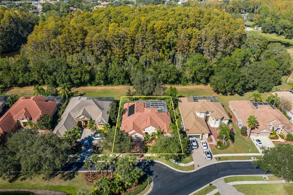 2928 Waters Edge Road Palm Harbor, FL 34685 - Photo 52 of 52 an aerial view of residential house with outdoor space and swimming pool